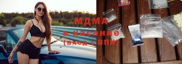индика Вяземский