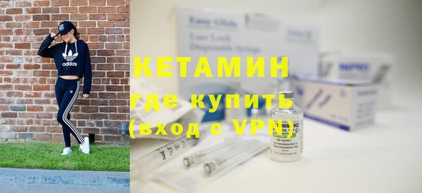индика Вяземский