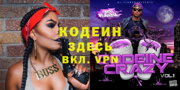 индика Вяземский