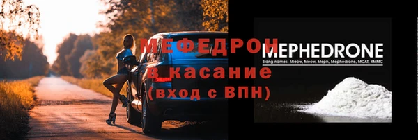 индика Вяземский