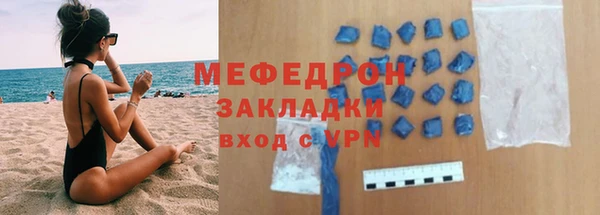 индика Вяземский