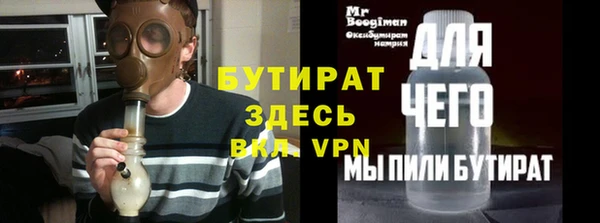индика Вяземский
