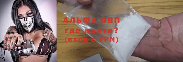 индика Вяземский