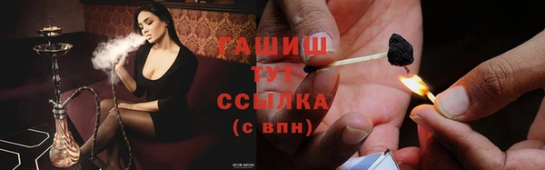 индика Вяземский