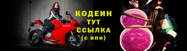 индика Вяземский