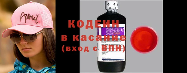 индика Вяземский