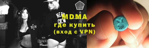 индика Вяземский