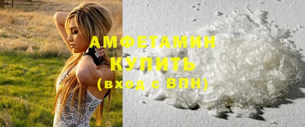 индика Вяземский
