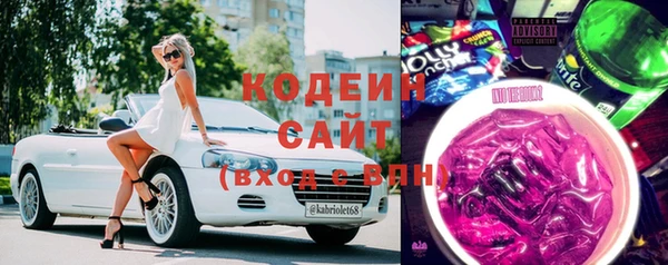 индика Вяземский