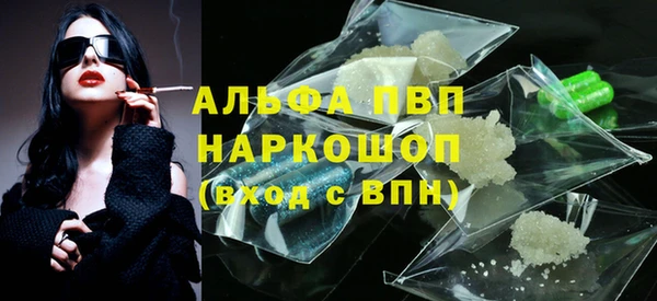 индика Вяземский