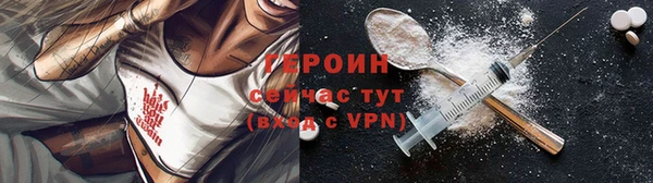 индика Вяземский