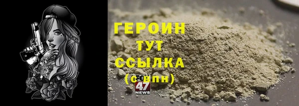 индика Вяземский
