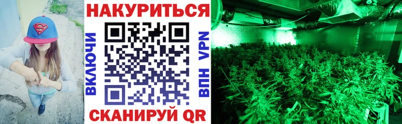 где найти наркотики  shop клад  Канабис THC 21%  Заинск 